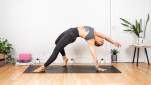 Yogi Fit - Yoga du coeur 5 - Posture sauvage